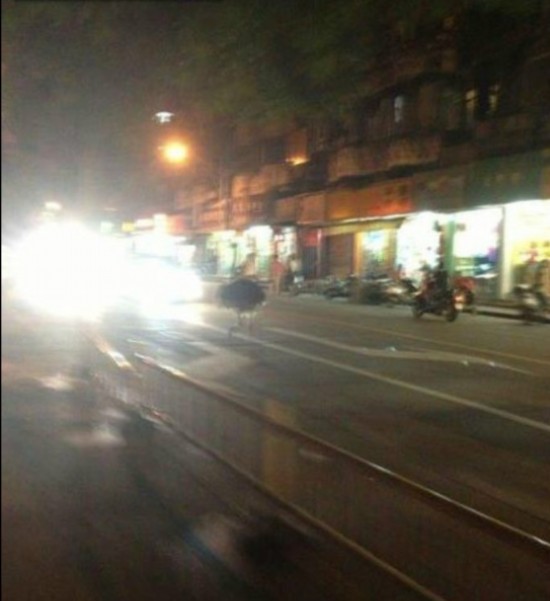 528ʡݣһֻܾ·Ͽ񱼣Сʱڴ8ֵ67ײ·СѶ񾯺Ͷ԰Աץס͵ж԰ס