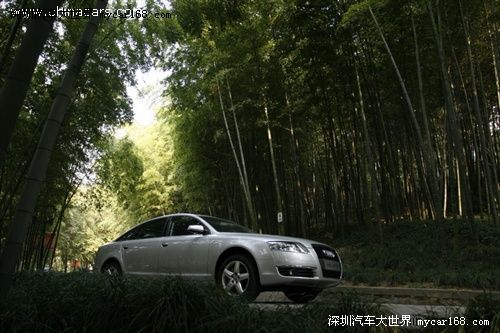 老面孔